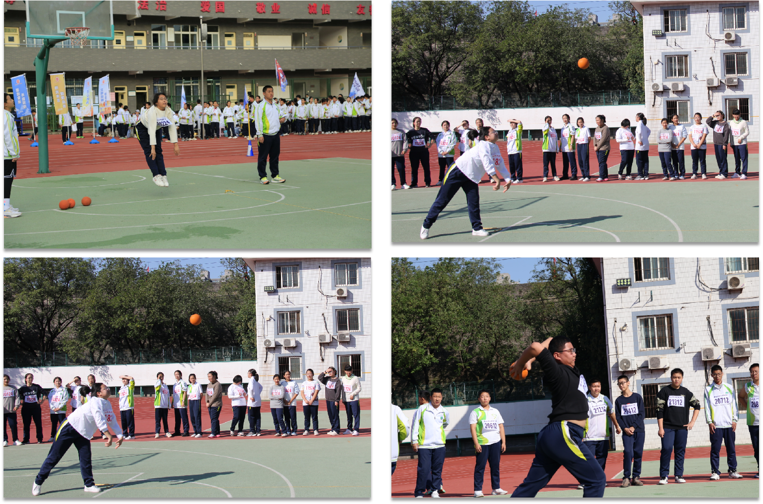 图片7.png 图片7.png