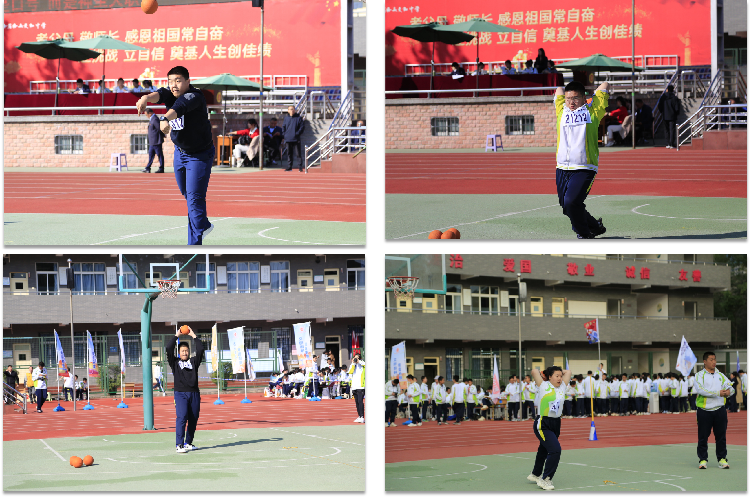 图片6.png 图片6.png