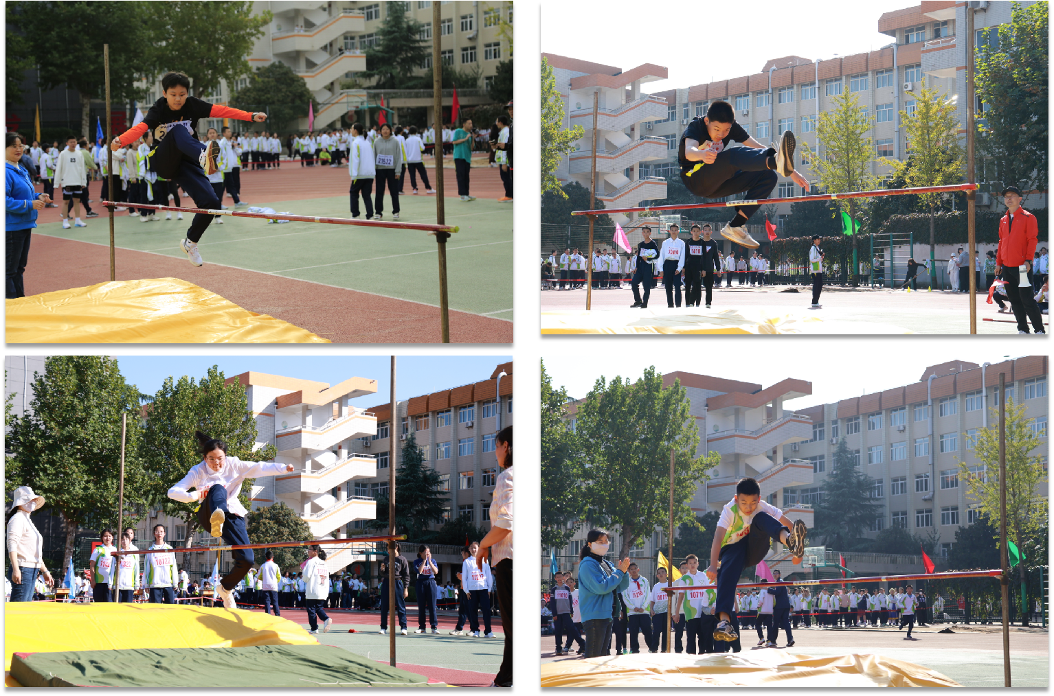 图片5.png 图片5.png