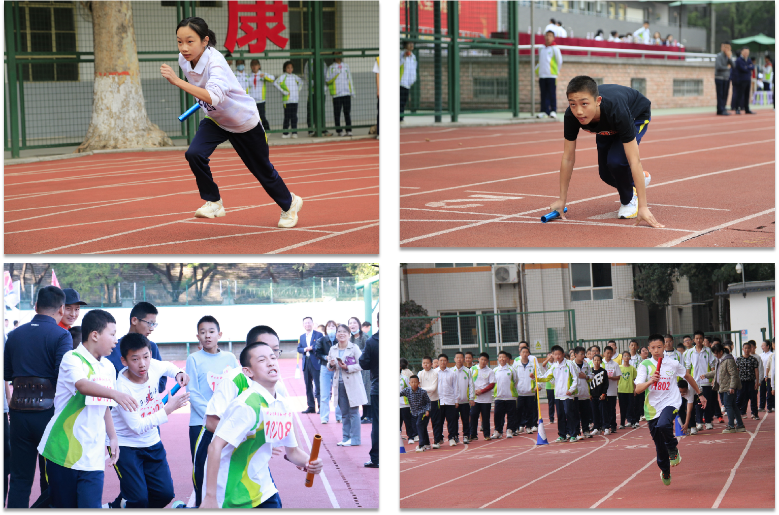 图片8.png 图片8.png