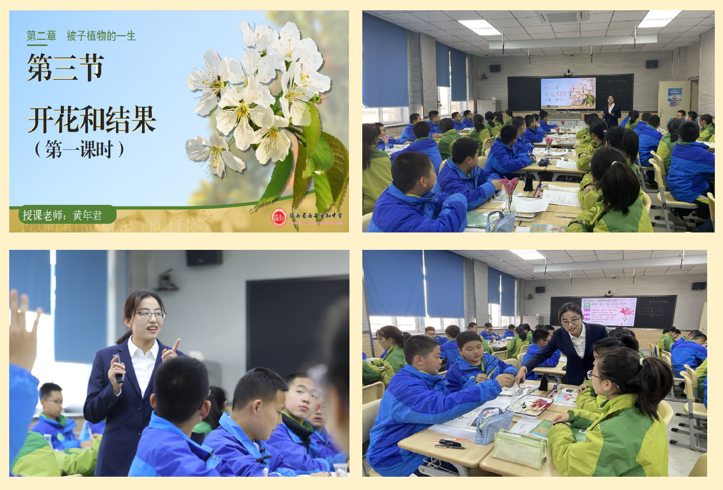 图片6.png 图片6.png