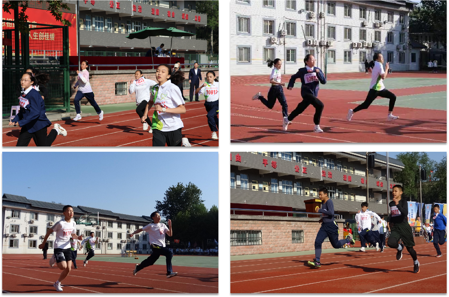 图片3.png 图片3.png