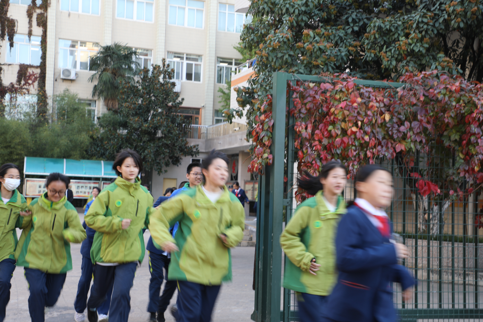 727A3946.JPG 727A3946.JPG